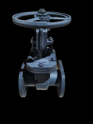 Bolted Bonnet Cast Iron Gate Valves Brass Trim Suitable for Water Medium Ensuring Long Term Durability and Efficiency