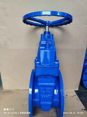 Resilient gate valve F4 type Double Flange for DN40 - DN600  PN16 or PN10
